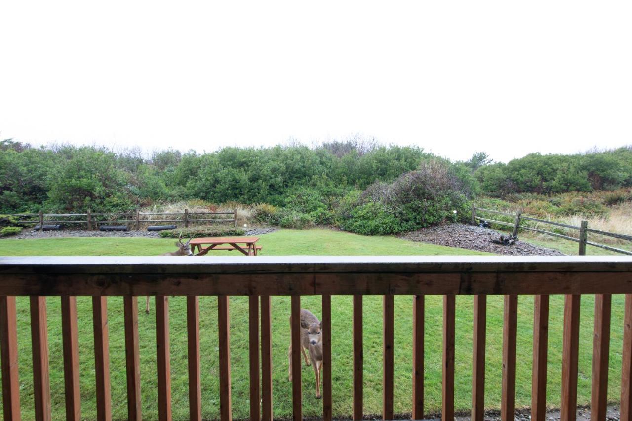 Aurora At Nautilus - Pet Friendly Oceanfront Condo Ocean Shores Exteriér fotografie