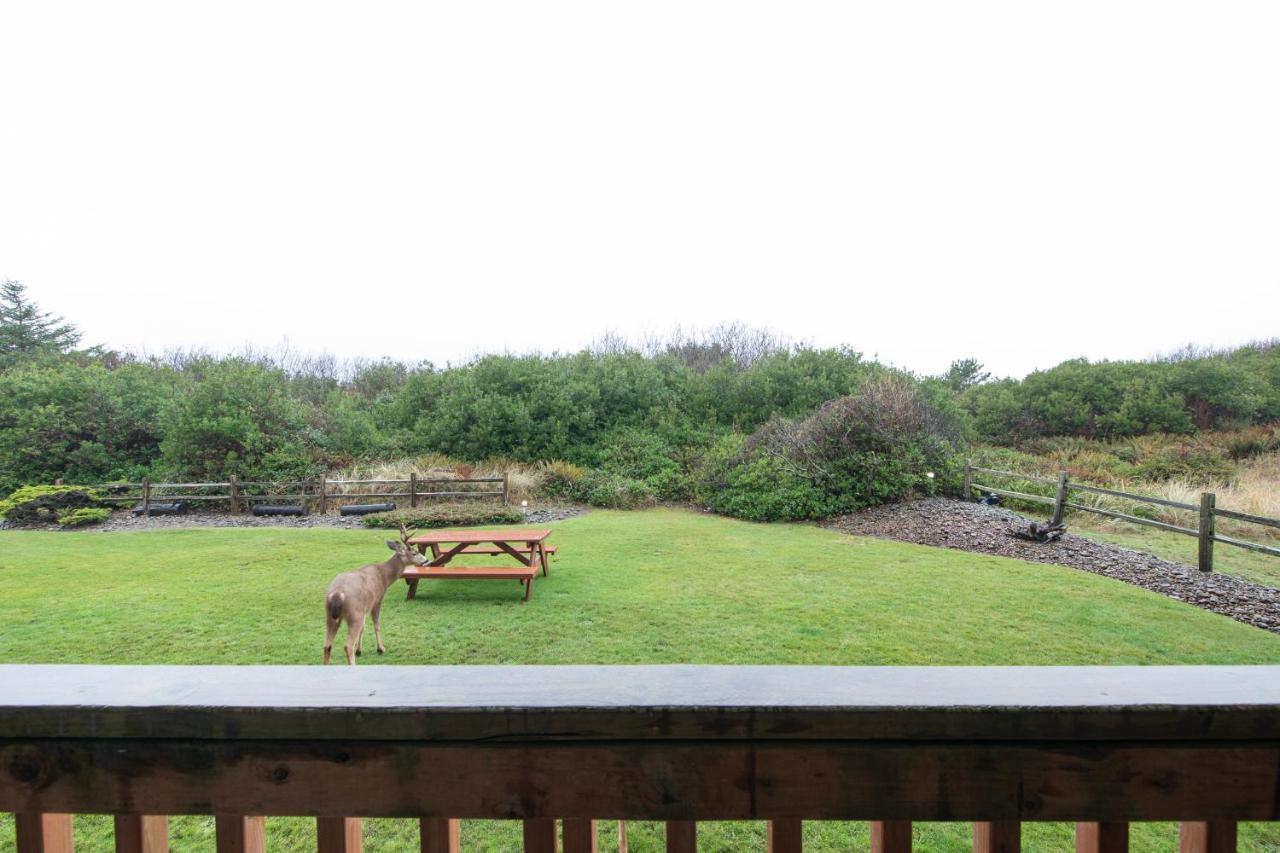 Aurora At Nautilus - Pet Friendly Oceanfront Condo Ocean Shores Exteriér fotografie